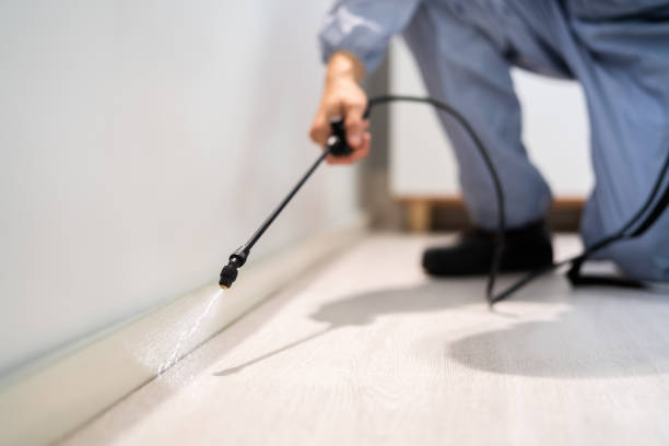 Licensed Termite Control service in Lake County County, MT - Nex Pest Control