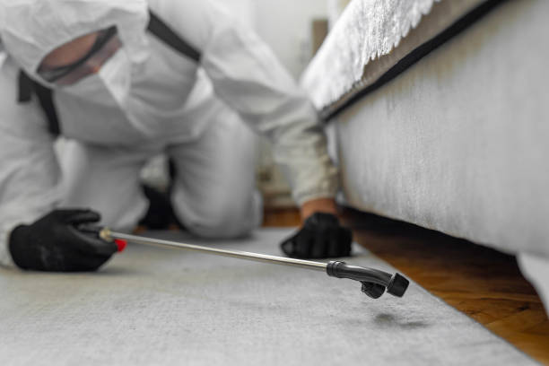 Professional Termite Control technician working in Lake County County, MT